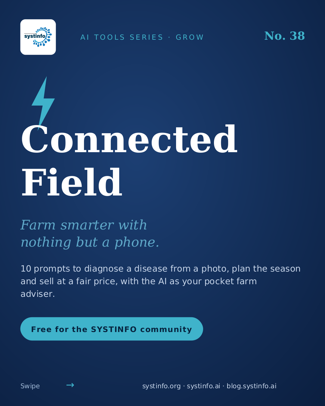 The Connected Field, EN texts