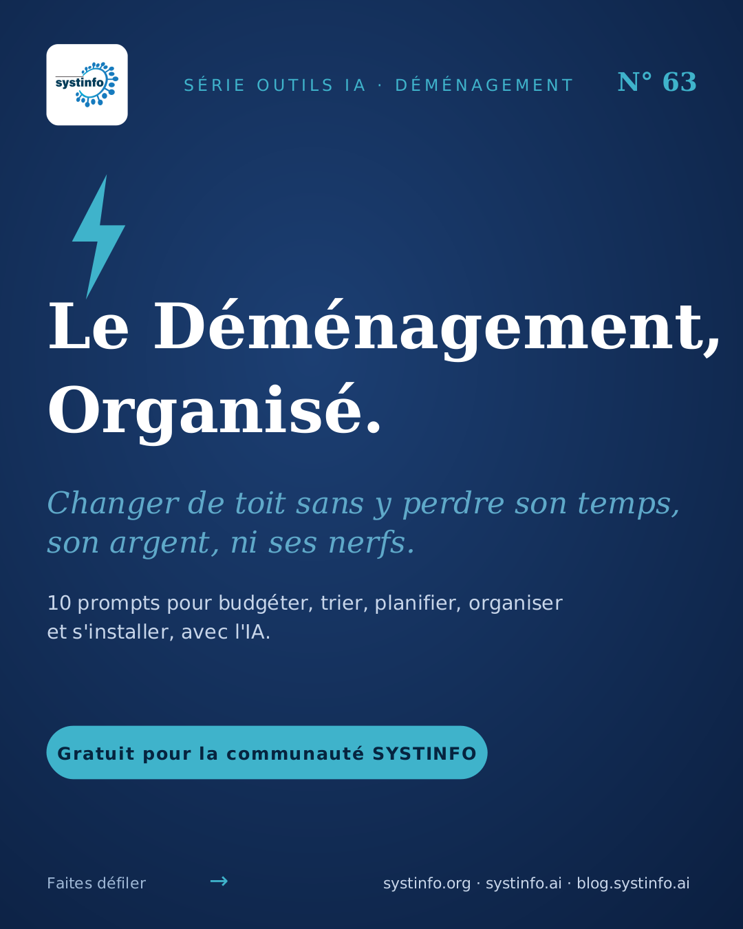 Demenagement Organise